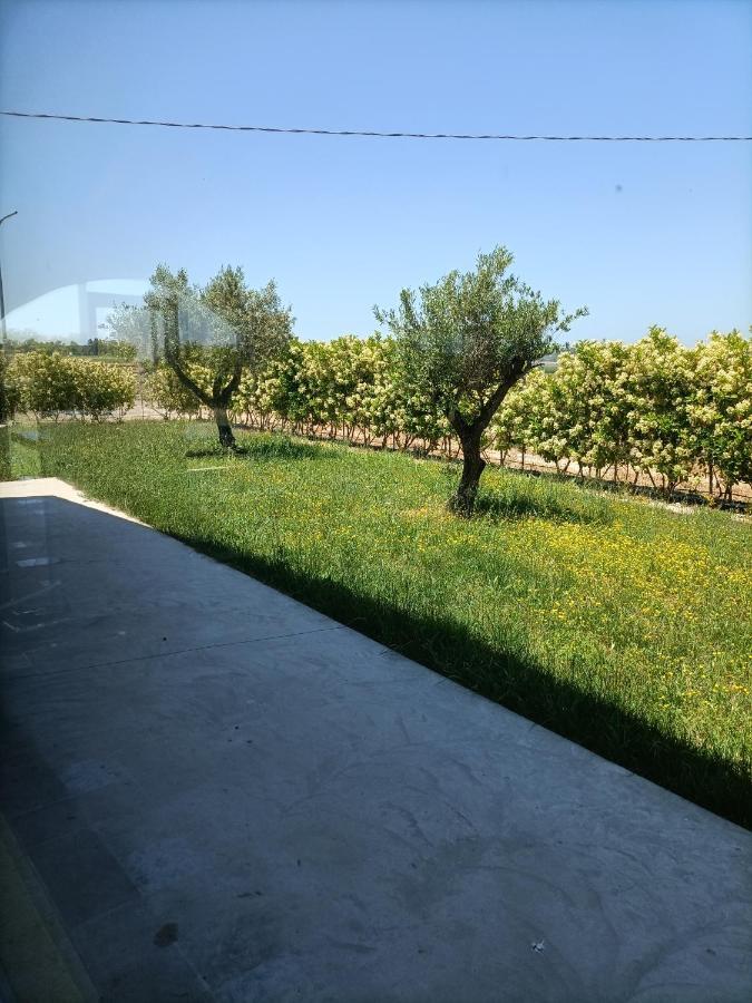 La Ricarda Dimora Di Campagna Bed and Breakfast Paestum Exteriör bild