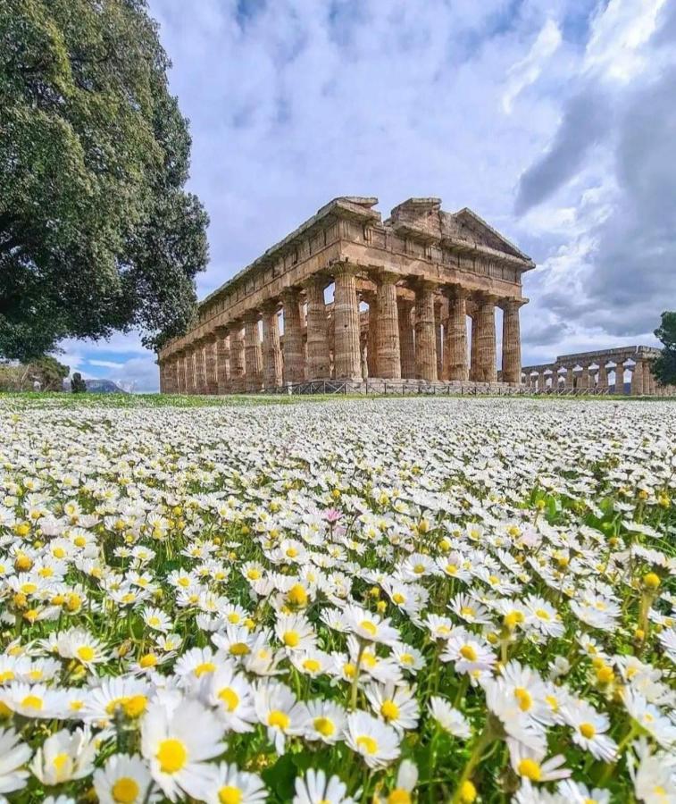La Ricarda Dimora Di Campagna Bed and Breakfast Paestum Exteriör bild