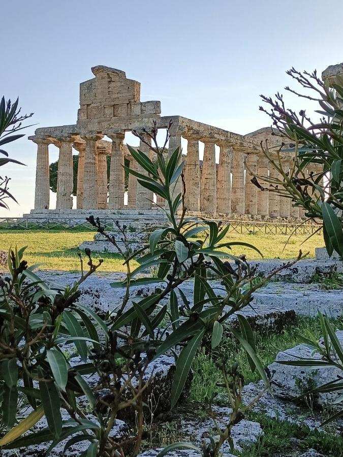 La Ricarda Dimora Di Campagna Bed and Breakfast Paestum Exteriör bild